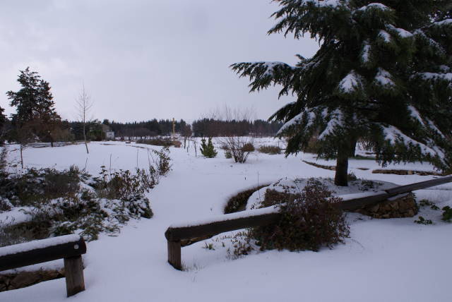 Snow Storms 2012 