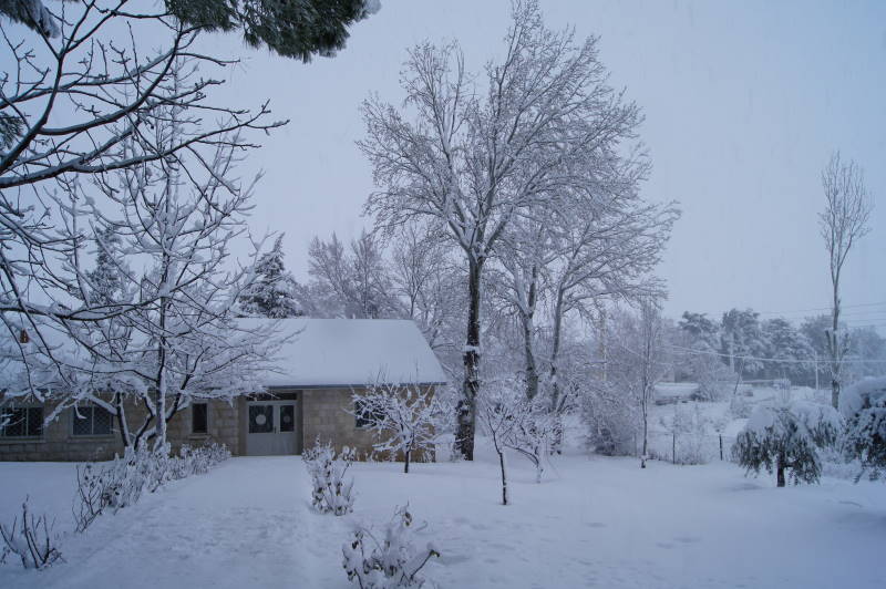 Snowstorm 29 February 2012 